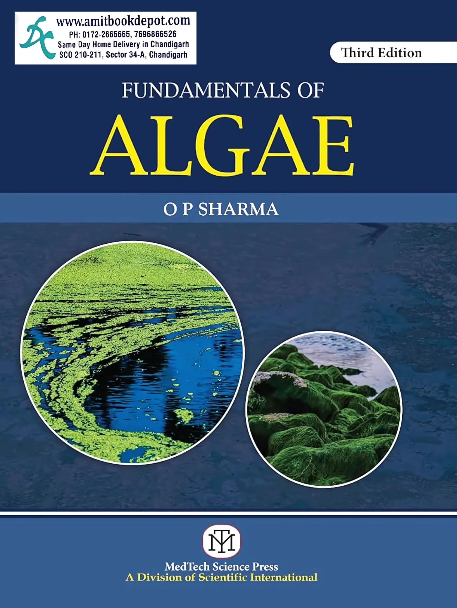 FUNDAMENTAL OF ALGAE