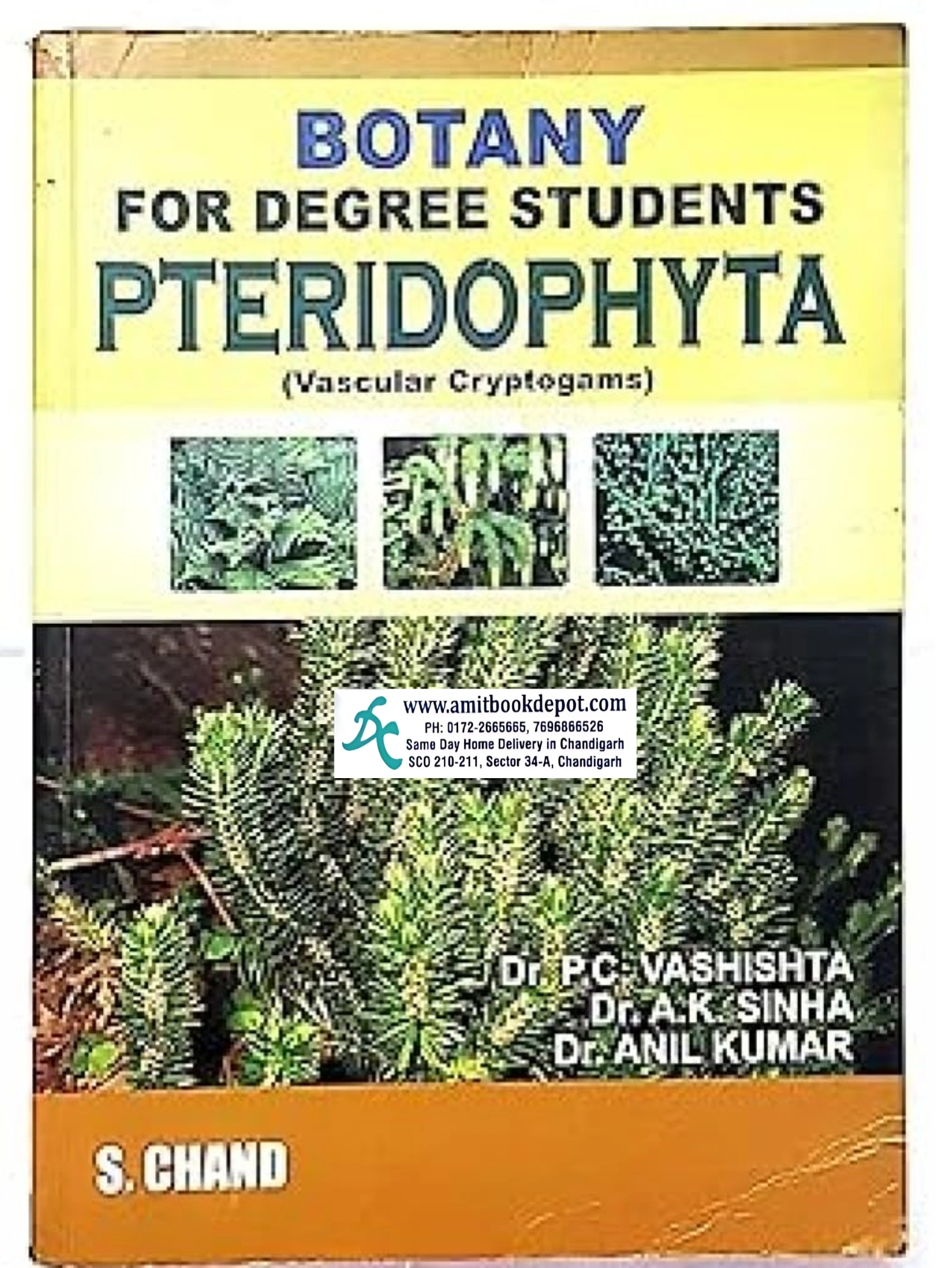 S.Chand Botany for Degree students Pteridophyta As per UGC and NEP 2020
