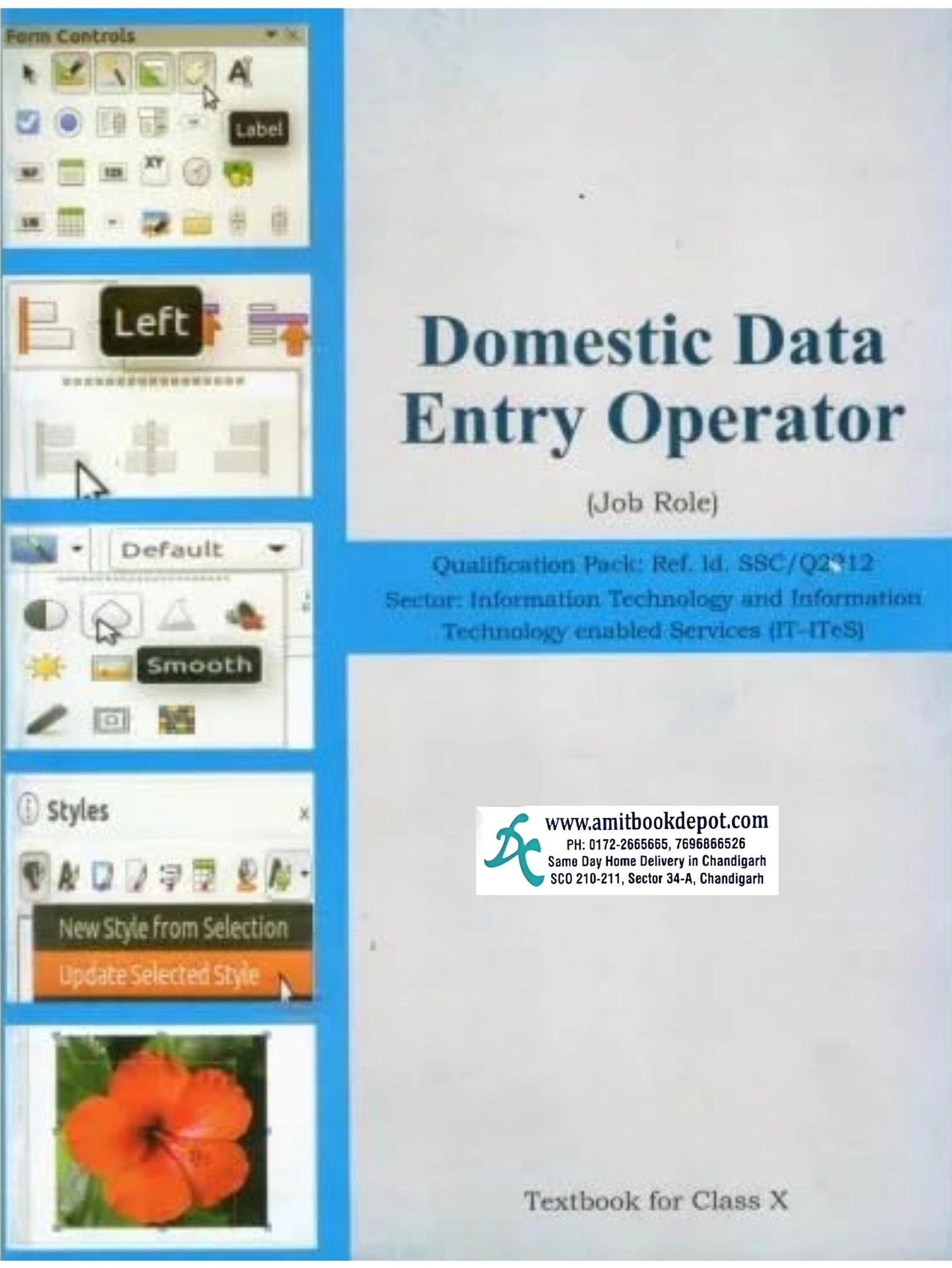 NCERT Domestic Data Entry Operator For Class 10th