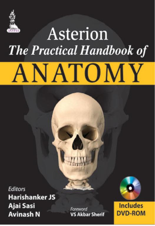 Asterion The Practical Handbook of Anatomy