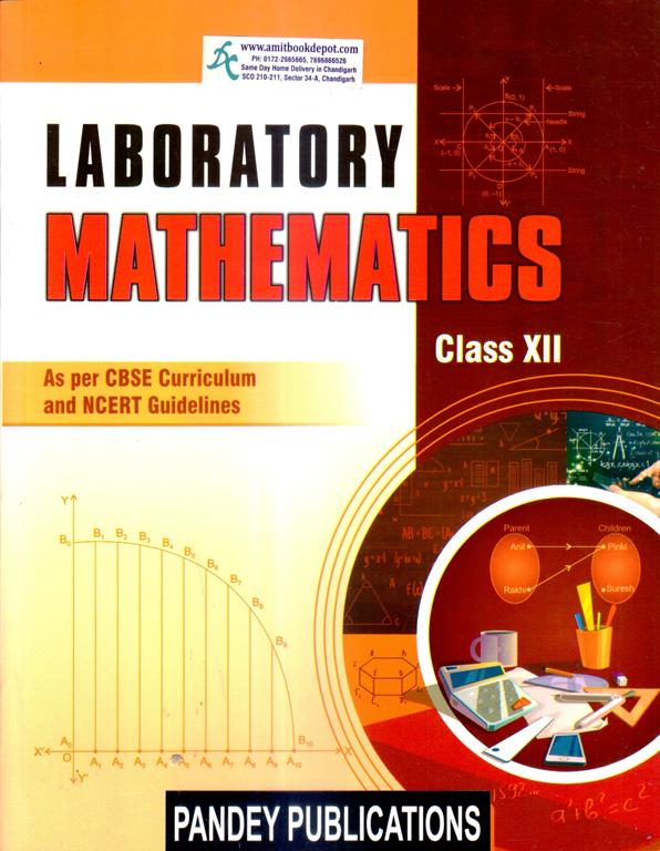 Pandey Mathematics Practical file 12th