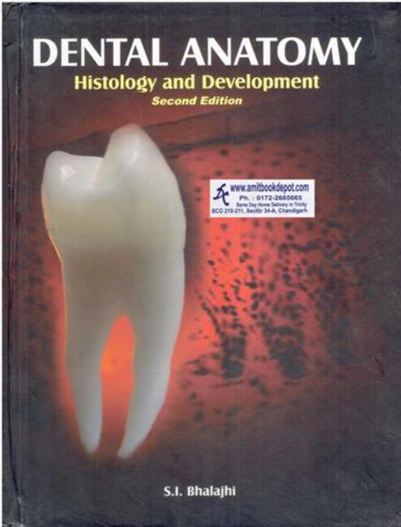 Dental Anatomy Histology and Development 2nd Edition