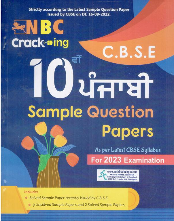 CBSE Punjabi Guide Sample Question Papers 10th