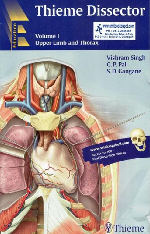 Thieme Dissector Vol 1 Upper Limb and Thorax