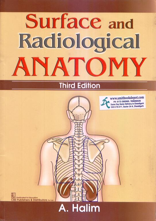 Surface and Radiological Anatomy