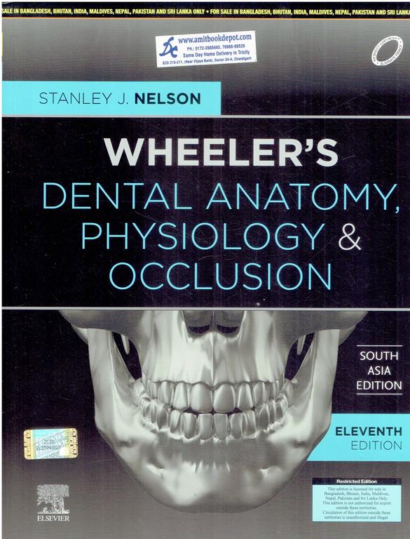 Wheelers Dental Anatomy Physiology and Occlusion