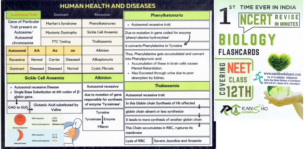 Biology Flashcards For Class 12 And NEET UG