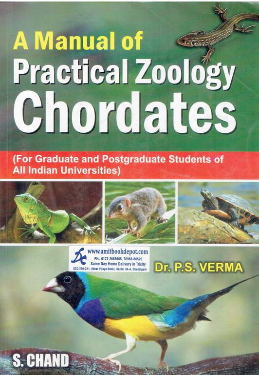 A Manual of Practical Zoology Chordates